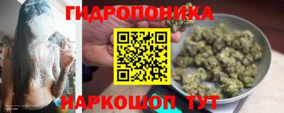 ГАЛЛЮЦИНОГЕННЫЕ ГРИБЫ Кимры