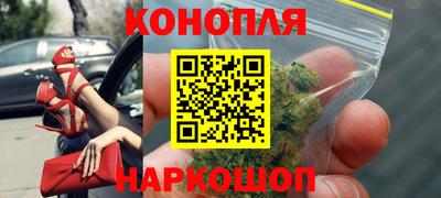 сатива Кинель